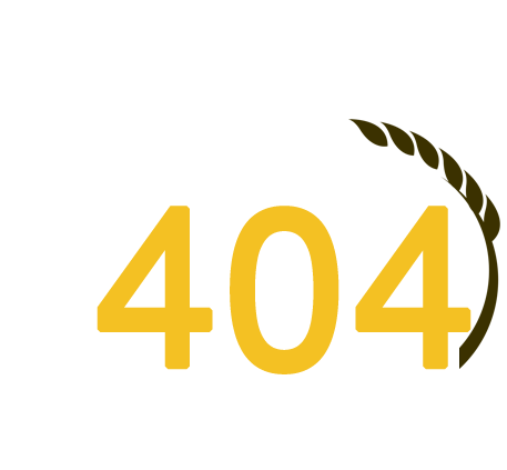 404